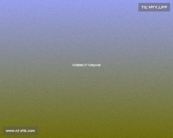 66年勒芒赛事;2016勒芒gte冠军